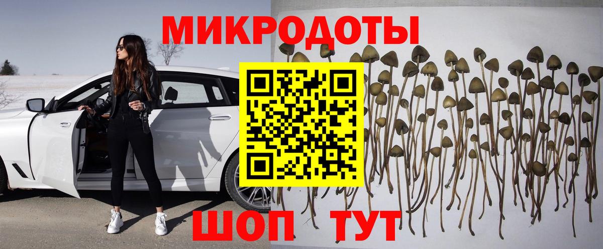 Галлюциногенные грибы ЛСД Нововоронеж